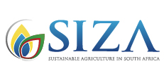 siza